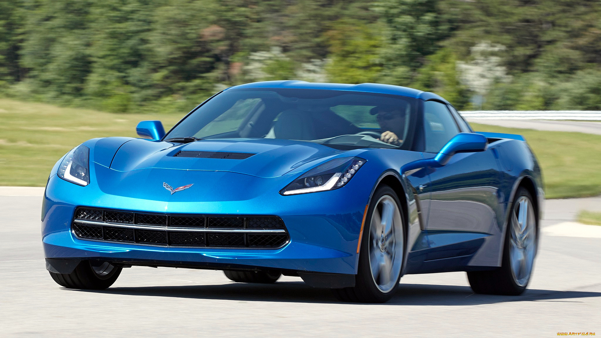 corvette, , , gm, chevrolet, division